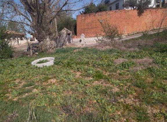 Foto 2 de Venta de terreno en Villaescusa (Zamora) de 3200 m²