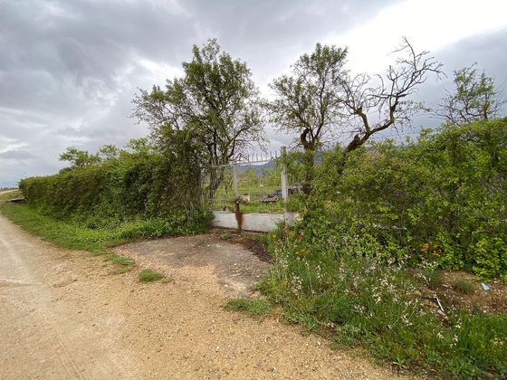 Foto 1 de Venta de terreno en Labastida de 3803 m²