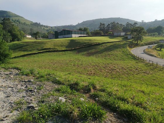Foto 2 de Venta de terreno en Solórzano de 6904 m²