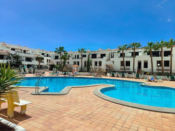 Foto 1 de Pis en lloguer a Los Cristianos - Playa de las Américas de 1 habitació amb terrassa i piscina