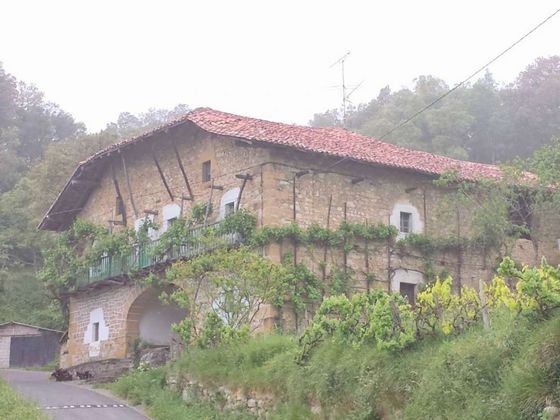 Foto 1 de Casa rural en venda a Larrabetzu de 12 habitacions amb terrassa i balcó