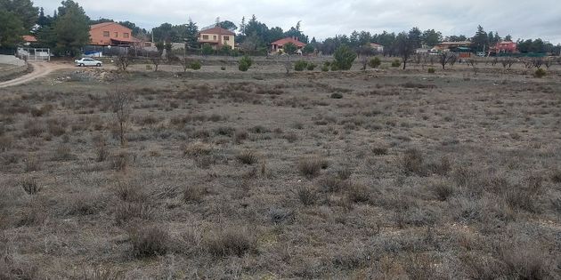 Foto 2 de Venta de terreno en El Pinar -  San León - Las Viñas de 16221 m²