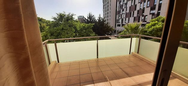Foto 1 de Alquiler de piso en Teatinos de 3 habitaciones con terraza y piscina