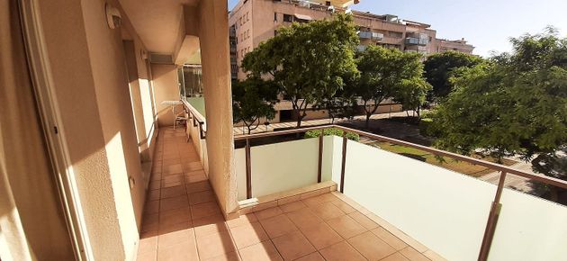 Foto 2 de Alquiler de piso en Teatinos de 3 habitaciones con terraza y piscina