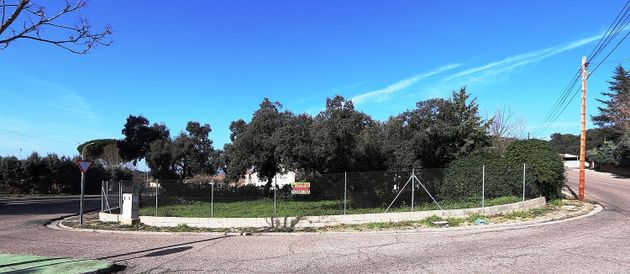 Foto 1 de Venta de terreno en calle Paloma de 700 m²