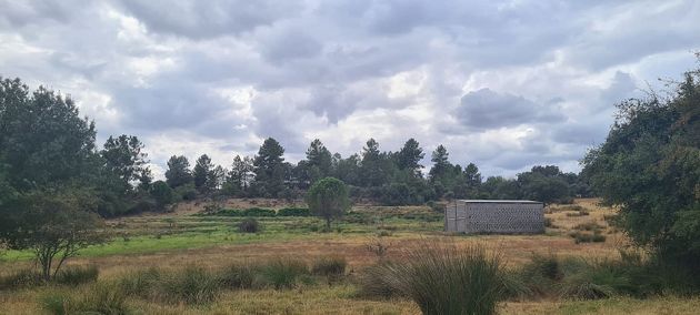 Foto 1 de Venta de terreno en Valverde de la Vera de 12100 m²