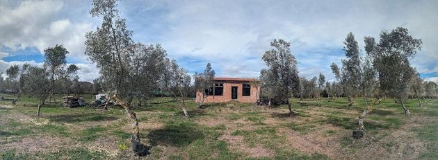 Foto 1 de Venta de terreno en Tudela de 4833 m²