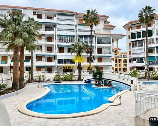 Foto 1 de Alquiler de piso en Torrelamata - La Mata de 1 habitación con terraza y piscina