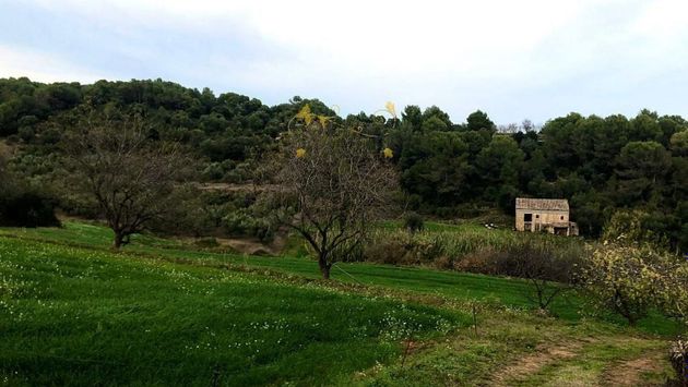Foto 1 de Casa rural en venta en Cabanelles de 3 habitaciones con jardín