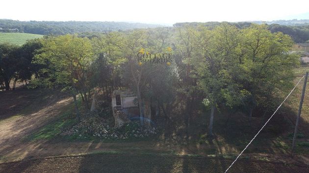 Foto 2 de Casa rural en venda a Palol de Revardit de 3 habitacions amb jardí