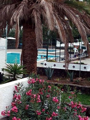 Foto 1 de Venta de estudio en Costa Blanca - Las Galletas con piscina y jardín