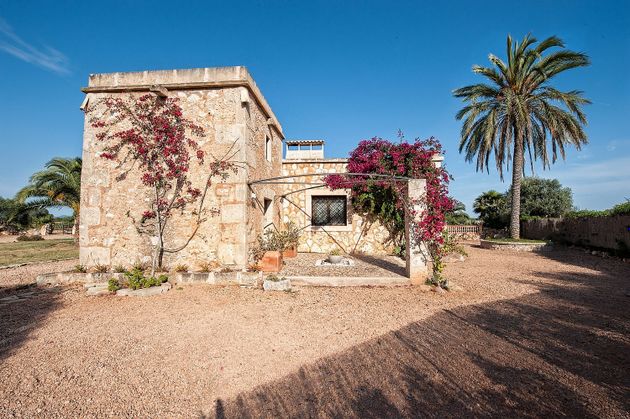 Foto 1 de Casa rural en venda a Campos de 6 habitacions amb terrassa i piscina