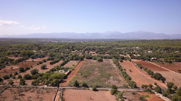 Foto 2 de Venta de terreno en Algaida de 26000 m²