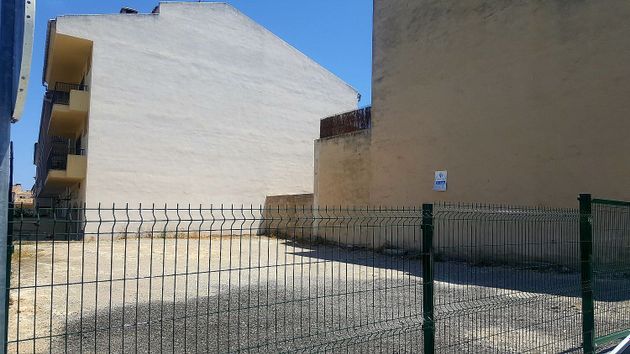Foto 2 de Venta de terreno en Ciutat d'Alcúdia de 302 m²
