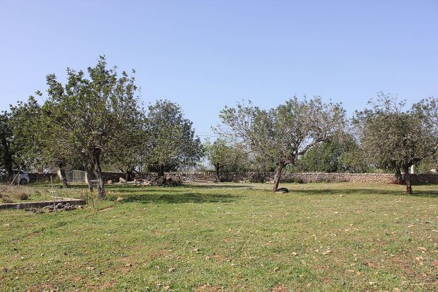 Foto 1 de Venta de terreno en Campanet de 17667 m²