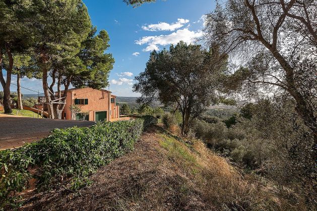 Foto 1 de Chalet en venta en Sant Jordi - Son Ferriol de 5 habitaciones con terraza y piscina