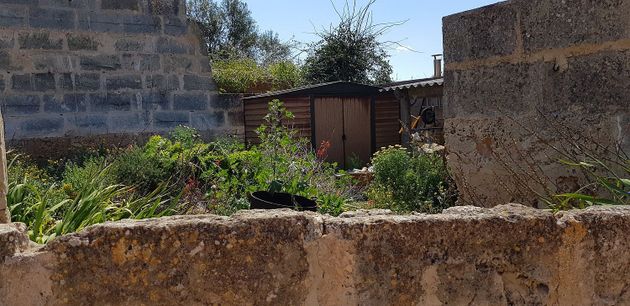 Foto 1 de Venta de chalet en Salines (Ses) de 2 habitaciones con jardín