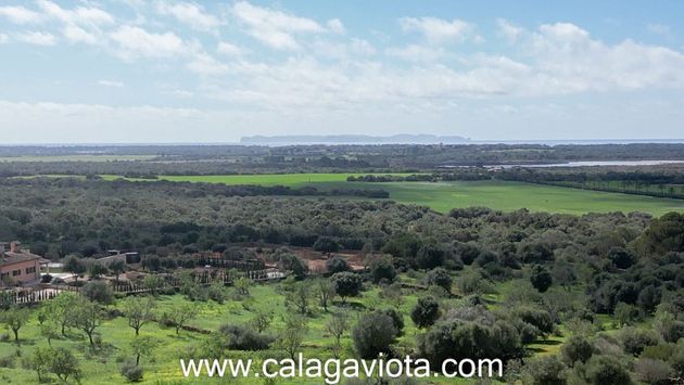 Foto 1 de Venta de terreno en Salines (Ses) de 15000 m²