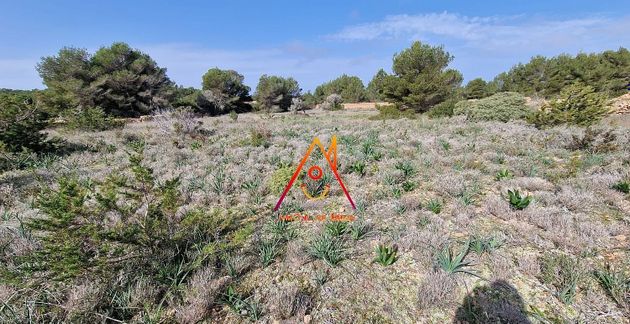 Foto 2 de Venta de terreno en Formentera de 15676 m²