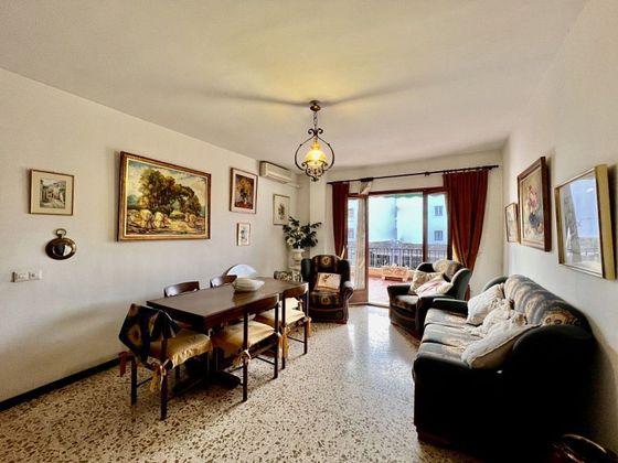 Foto 2 de Piso en venta en Port d'Alcúdia - Platja d'Alcúdia de 3 habitaciones con terraza y aire acondicionado