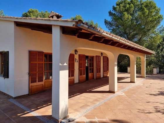 Foto 2 de Casa en venda a Calvià de 2 habitacions amb terrassa i piscina