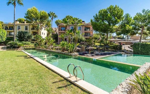 Foto 1 de Pis en venda a Es Camp de Mar de 4 habitacions amb terrassa i piscina