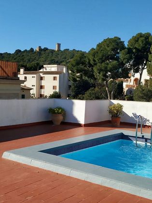 Foto 1 de Àtic en venda a calle De Son Armadans de 1 habitació amb terrassa i piscina