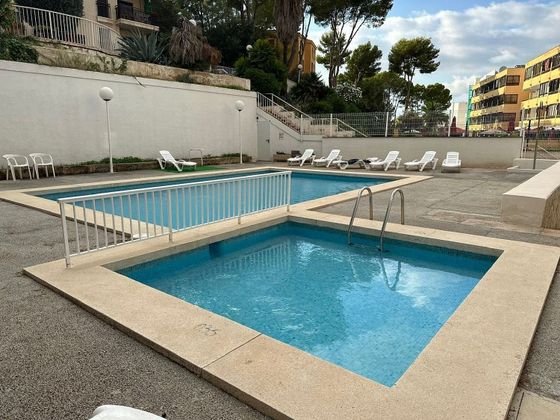 Foto 2 de Pis en venda a Santa Ponça de 1 habitació amb terrassa i piscina