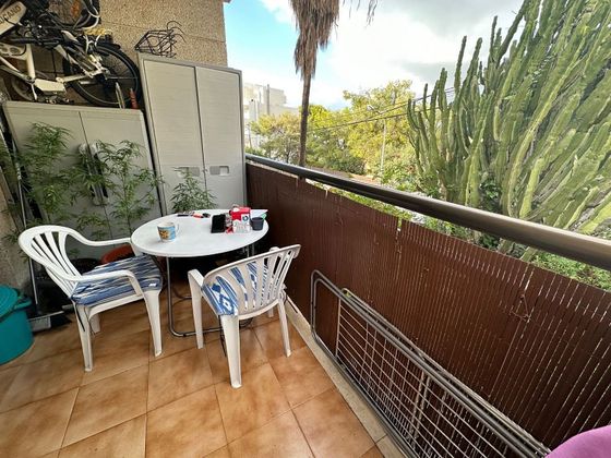 Foto 1 de Piso en venta en Santa Ponça de 1 habitación con terraza y piscina