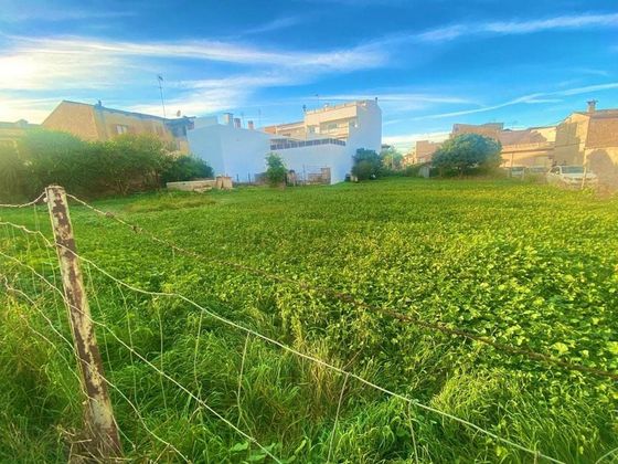 Foto 1 de Venta de terreno en Santa Margalida de 3721 m²