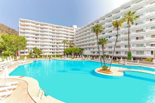 Foto 2 de Estudi en venda a Port d'Alcúdia - Platja d'Alcúdia amb piscina i jardí
