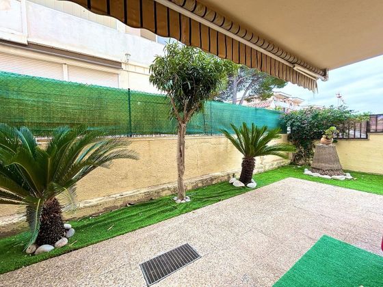 Foto 2 de Pis en venda a Can Picafort de 2 habitacions amb terrassa i jardí