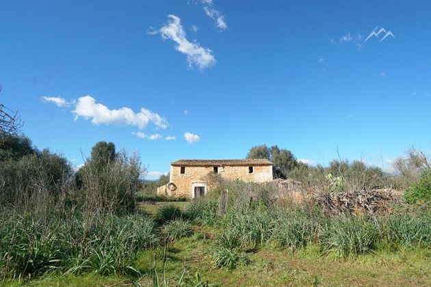 Foto 1 de Casa rural en venda a Binissalem de 3 habitacions amb terrassa i jardí