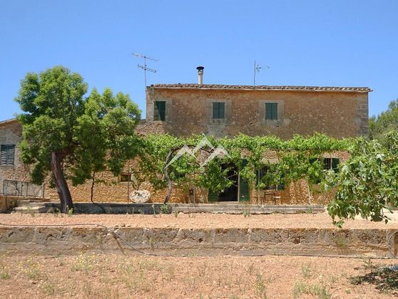 Foto 2 de Casa rural en venda a Sant Jordi - Son Ferriol de 7 habitacions amb terrassa i piscina