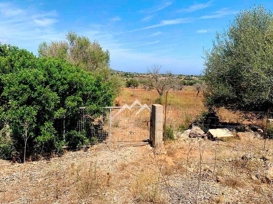 Foto 2 de Venta de terreno en Vilafranca de Bonany de 14038 m²