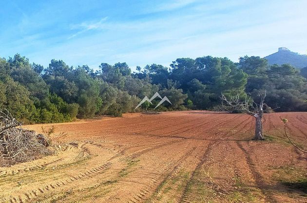 Foto 2 de Venta de terreno en Felanitx de 103052 m²
