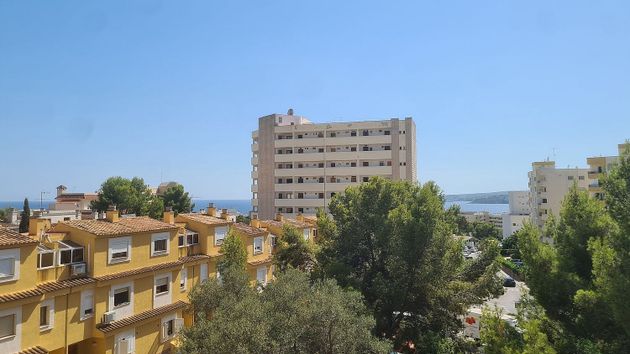 Foto 1 de Venta de piso en Calvià de 1 habitación con terraza y piscina