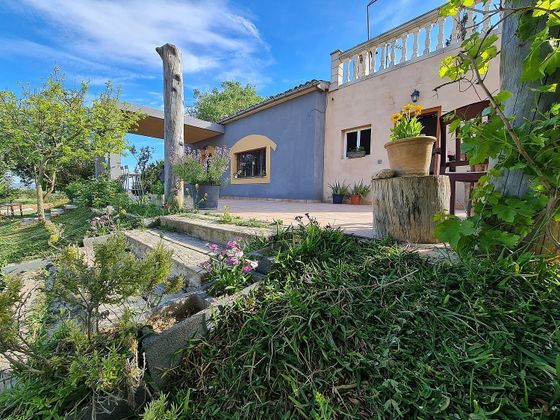 Foto 2 de Casa rural en venda a Petra de 4 habitacions amb terrassa i piscina