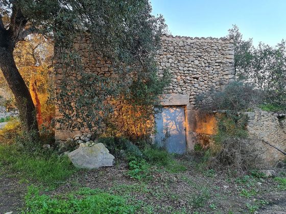Foto 1 de Venta de casa rural en Montuïri con jardín