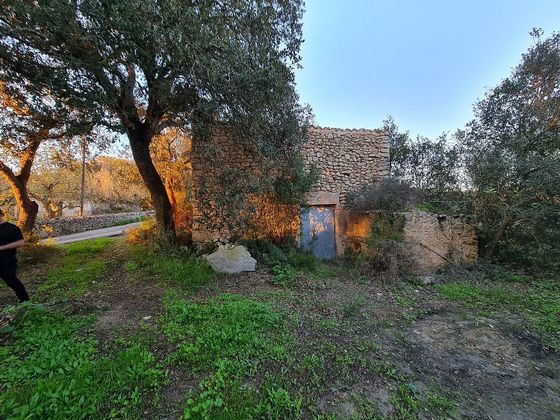 Foto 2 de Casa rural en venda a Montuïri amb jardí
