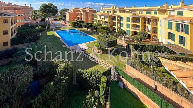 Foto 2 de Àtic en venda a Maioris-Puig de Ros de 3 habitacions amb terrassa i piscina