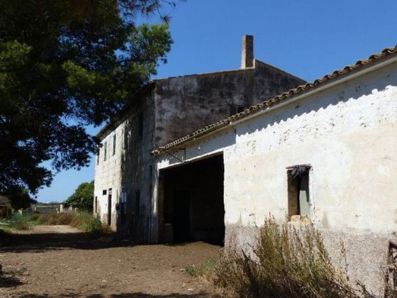 Foto 2 de Casa rural en venta en Sant Jordi - Son Ferriol de 3 habitaciones con jardín