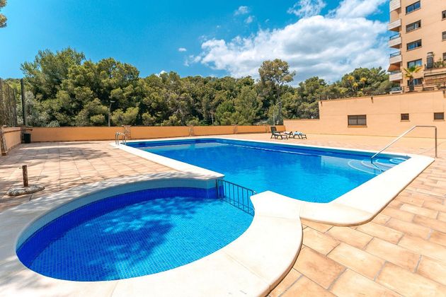 Foto 1 de Àtic en venda a Sant Agustí de 2 habitacions amb terrassa i piscina