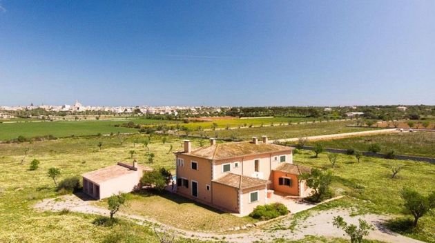 Foto 2 de Alquiler de casa rural en Santanyí de 5 habitaciones con terraza y piscina