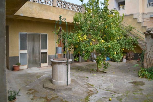 Foto 1 de Xalet en venda a Petra de 6 habitacions amb terrassa i garatge