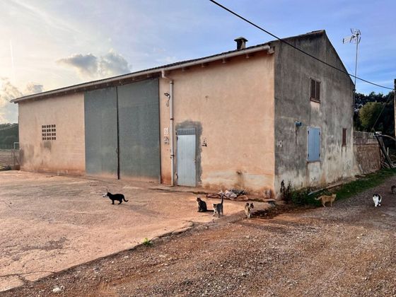 Foto 1 de Casa rural en venda a Llubí de 1 habitació i 270 m²