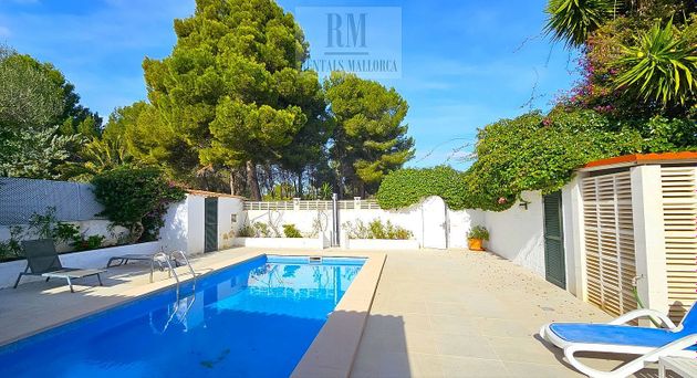 Foto 2 de Casa en lloguer a Sol de Mallorca de 7 habitacions amb terrassa i piscina