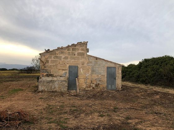 Foto 2 de Casa rural en venda a calle Diseminado Son Sant Marti de 1 habitació i 40 m²