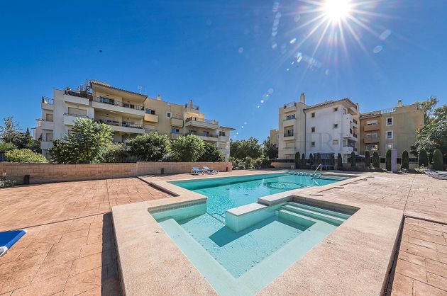Foto 1 de Piso en venta en Santa Ponça de 4 habitaciones con terraza y piscina