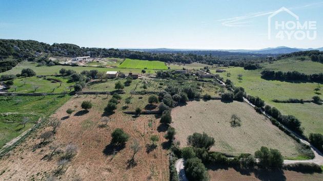 Foto 2 de Venta de terreno en Sant Llorenç des Cardassar de 36550 m²